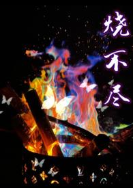 烧不尽全文免费阅读加番外完结