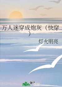 万人迷穿成炮灰快穿txt
