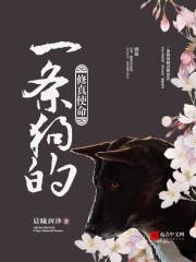 一条狗的使命系列3册