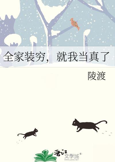 全家装修效果图