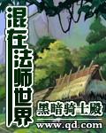 世界OL平民法师技能