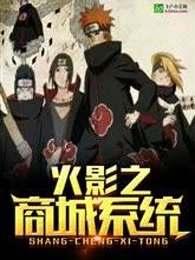 火影之忍者系统
