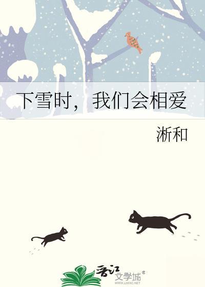 下雪时我们会相爱讲的什么