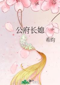 公府长媳免费阅读全文无弹窗晋江