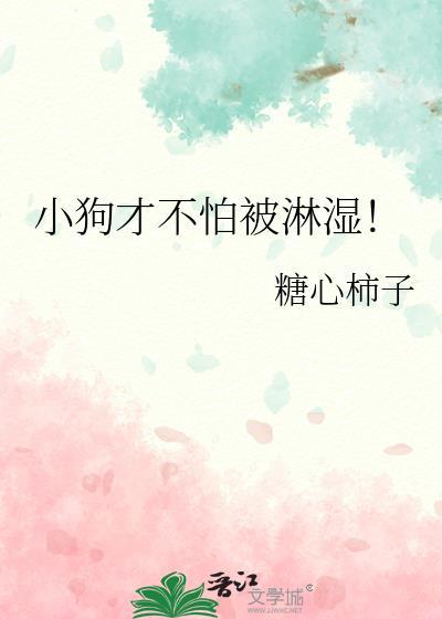 狗害怕淋雨吗