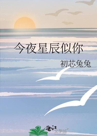 今夜星辰似你全文简介