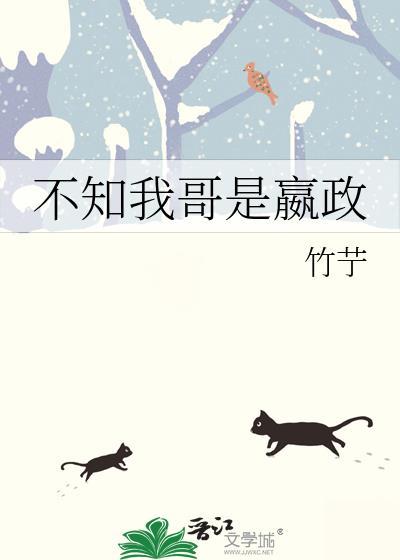 不知我哥是嬴政番外免费阅读