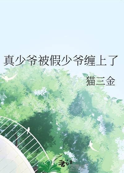 假少爷与真少爷