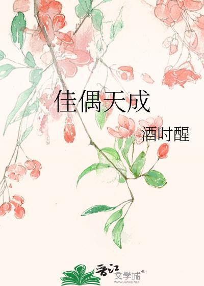 佳偶天成 电视剧免费观看完整版