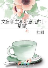 文盲啥意思