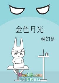 金色月光有多少家分店