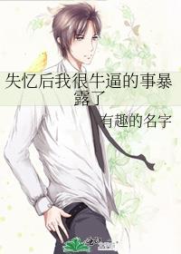 失忆后我火了 完结+番外