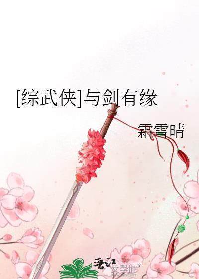 综武侠匹夫之剑