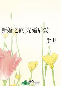 新婚之夜原著