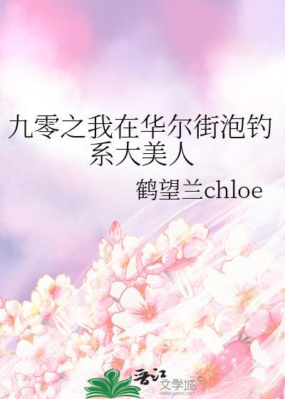我在华尔街做资本
