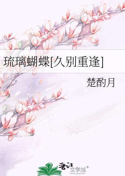 琉璃双翼彩蝶是什么意思