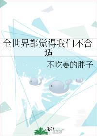 全世界都觉得我们不合适全文阅读