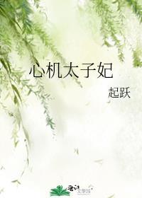 心机太子妃类似