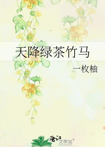 天降竹马游戏攻略16