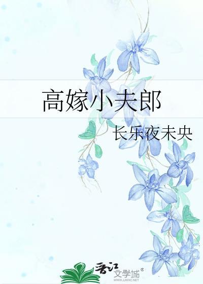 高嫁小夫郎百度