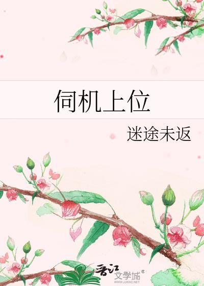 伺机啥意思