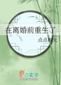重生在离婚之夜