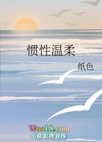惯性的意思