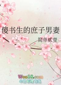 傻书生的庶子男妻简单贰壹txt