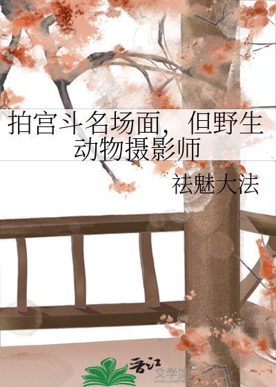 野生动物摄影师