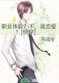 职业体验的意思