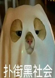 九龙城寨我只想赚钱