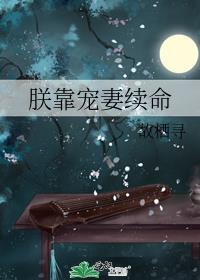 朕靠宠妻续命讲的什么