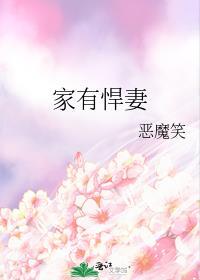 家有悍妻最经典十句话