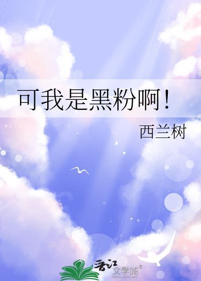 我是你黑粉