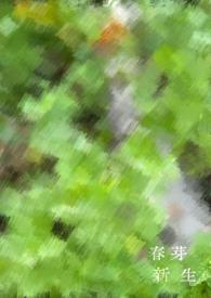 新芽心燕是什么公司可靠不