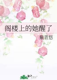 阁楼上的光全文免费阅读