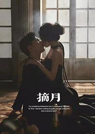 摘月亮入怀