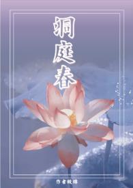 洞庭春色什么意思