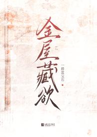 金屋藏夫 电视剧