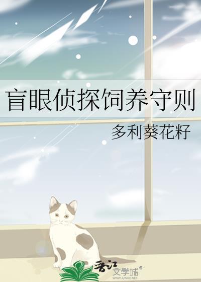 盲眼攻略视频