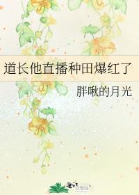 道长直播TV最新版本更新内容