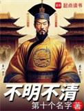 不清晰是什么词语