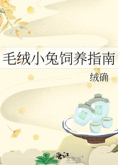 毛绒小兔饲养指南by绒确TXT