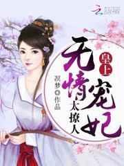 皇上宠贵妃的