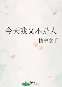 今天又不是年