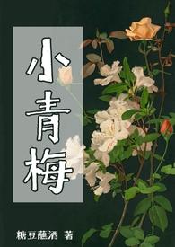 小青梅番外