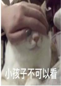 圈养 txt