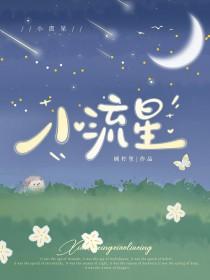 小流星简谱