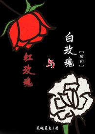 红玫瑰与白玫瑰完整版