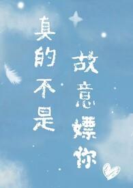 真不是故意的什么意思